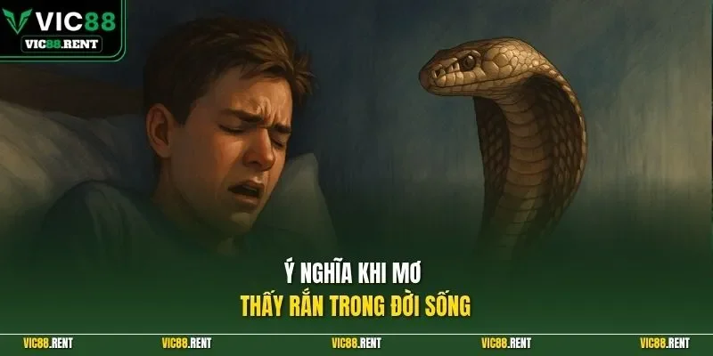 Ý nghĩa khi mơ thấy rắn trong đời sống